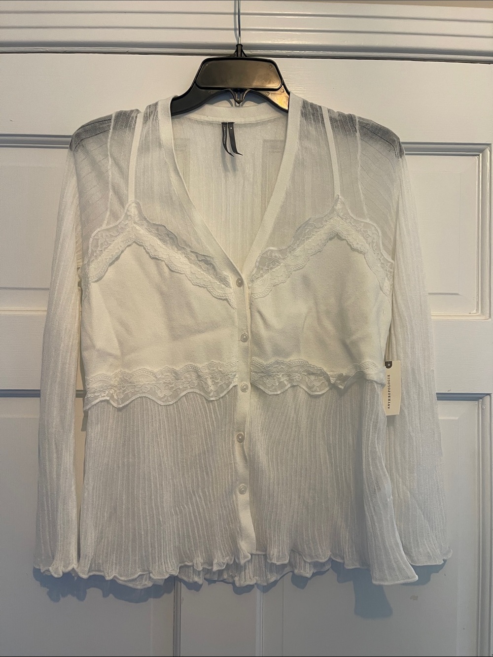Anthropologie Sheer White Lace-Trim Button Front Blouse